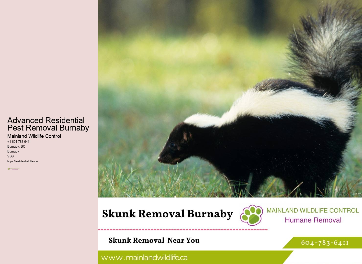 Expert Residential Pest Extermination Burnaby