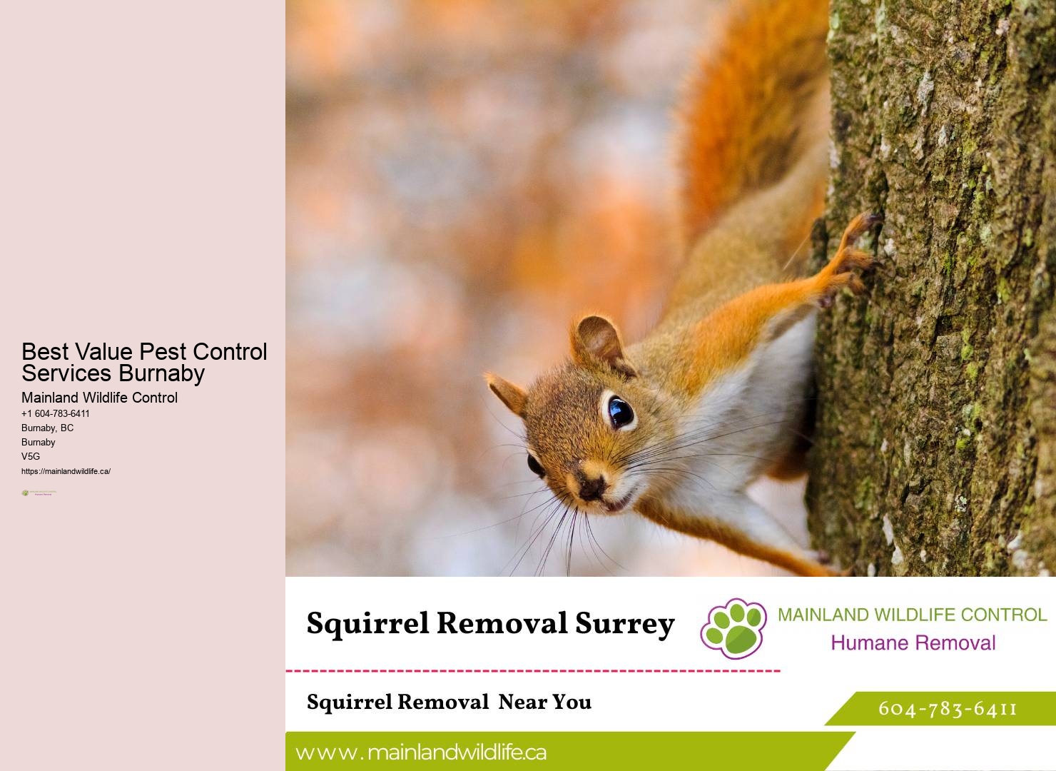 Emergency Pest Control Services Burnaby