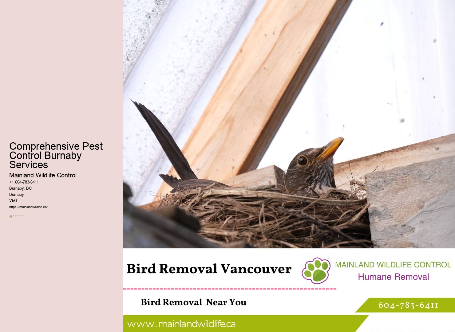 Integrated pest management Burnaby