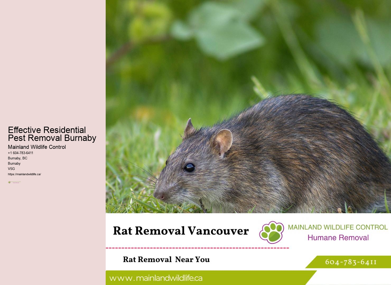Humane Animal Control Burnaby