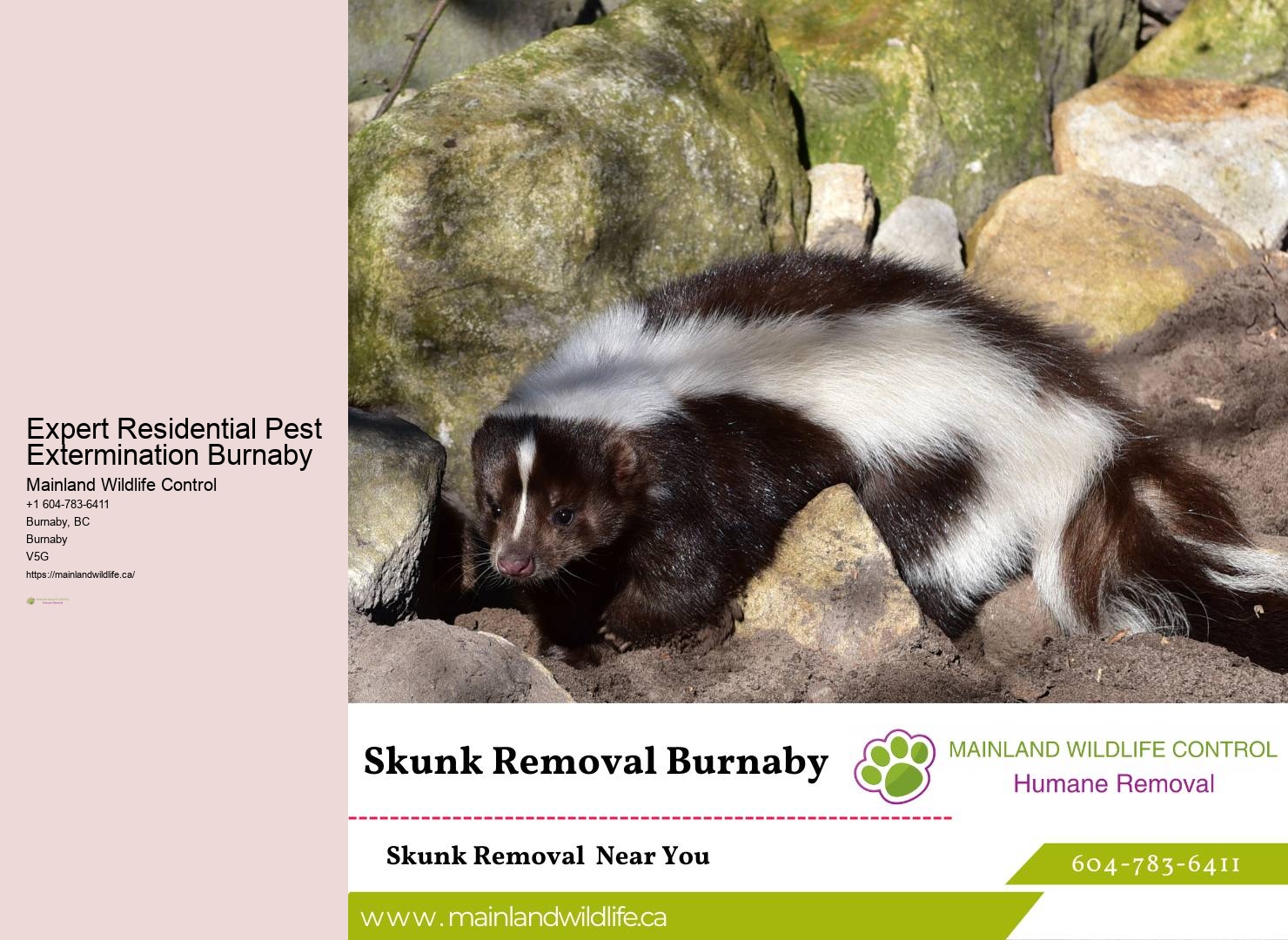 Advanced Eco-friendly Pest Control Burnaby
