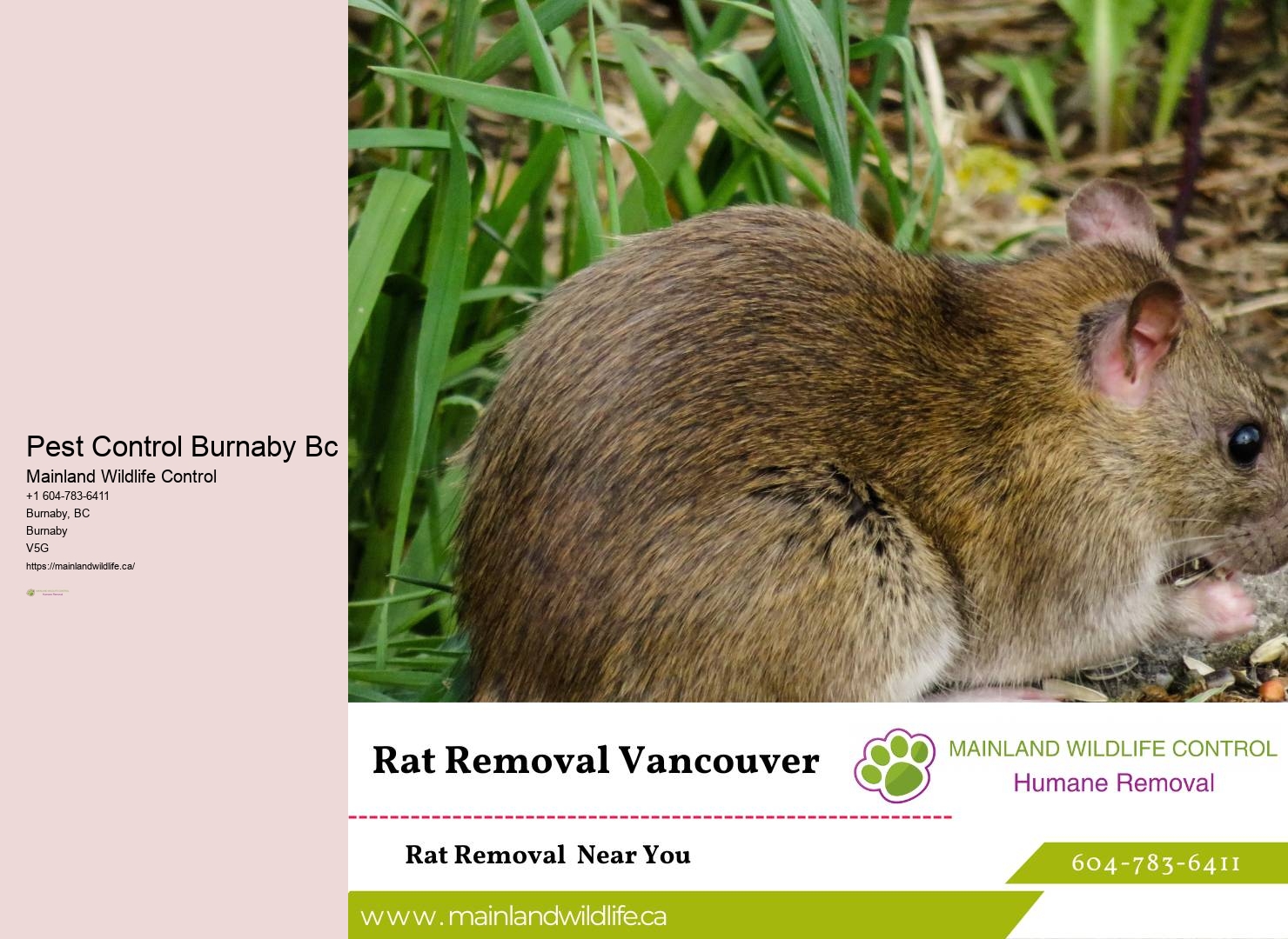 Emergency pest control Burnaby