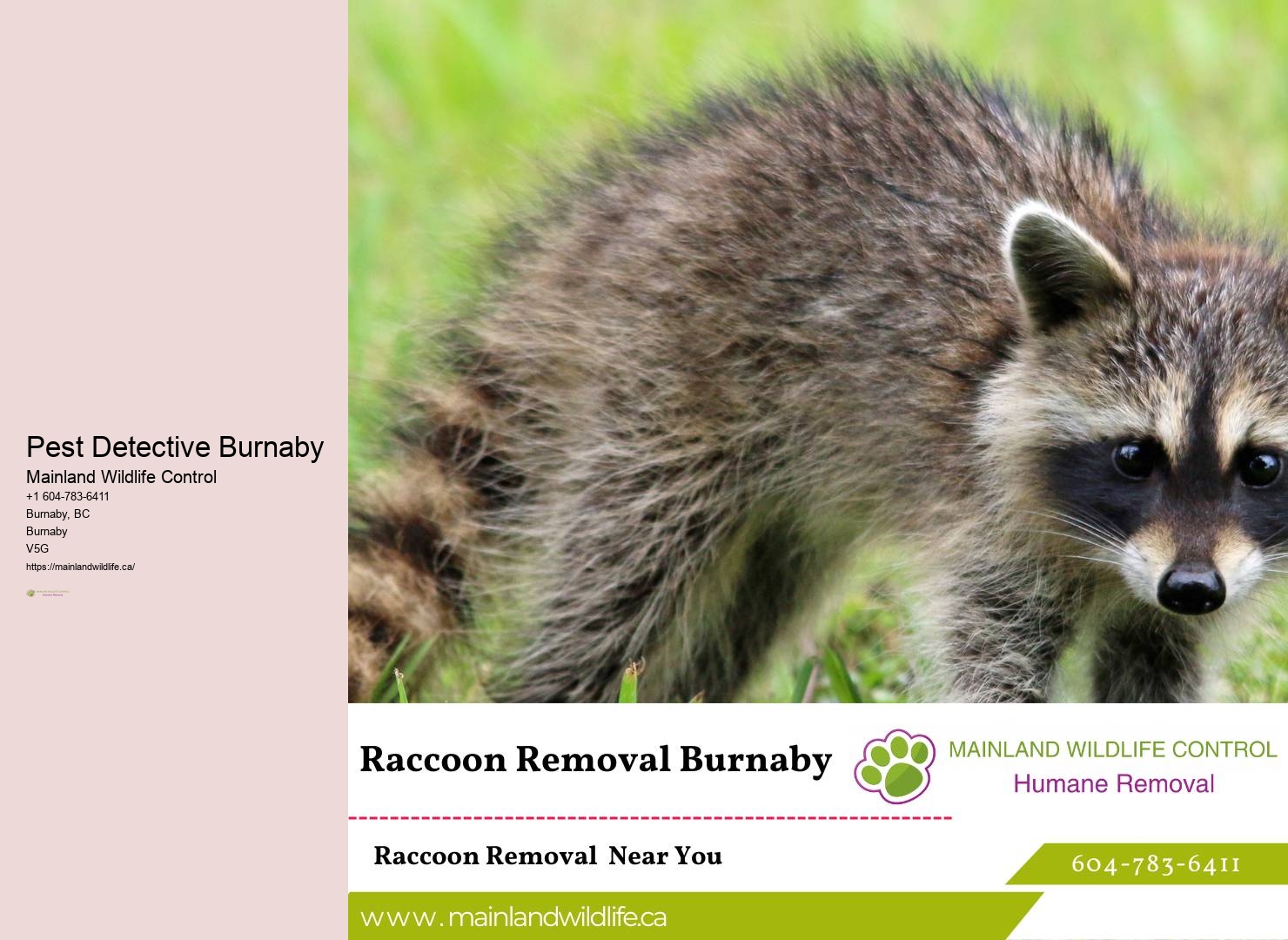 Effective Pest Control Burnaby