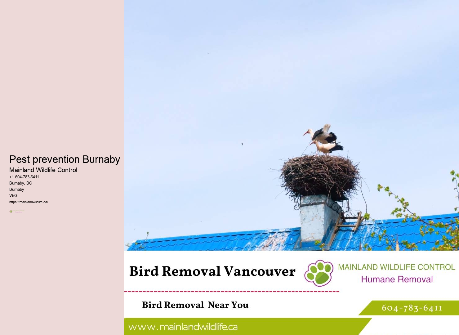 Safe Pest Control Services Burnaby