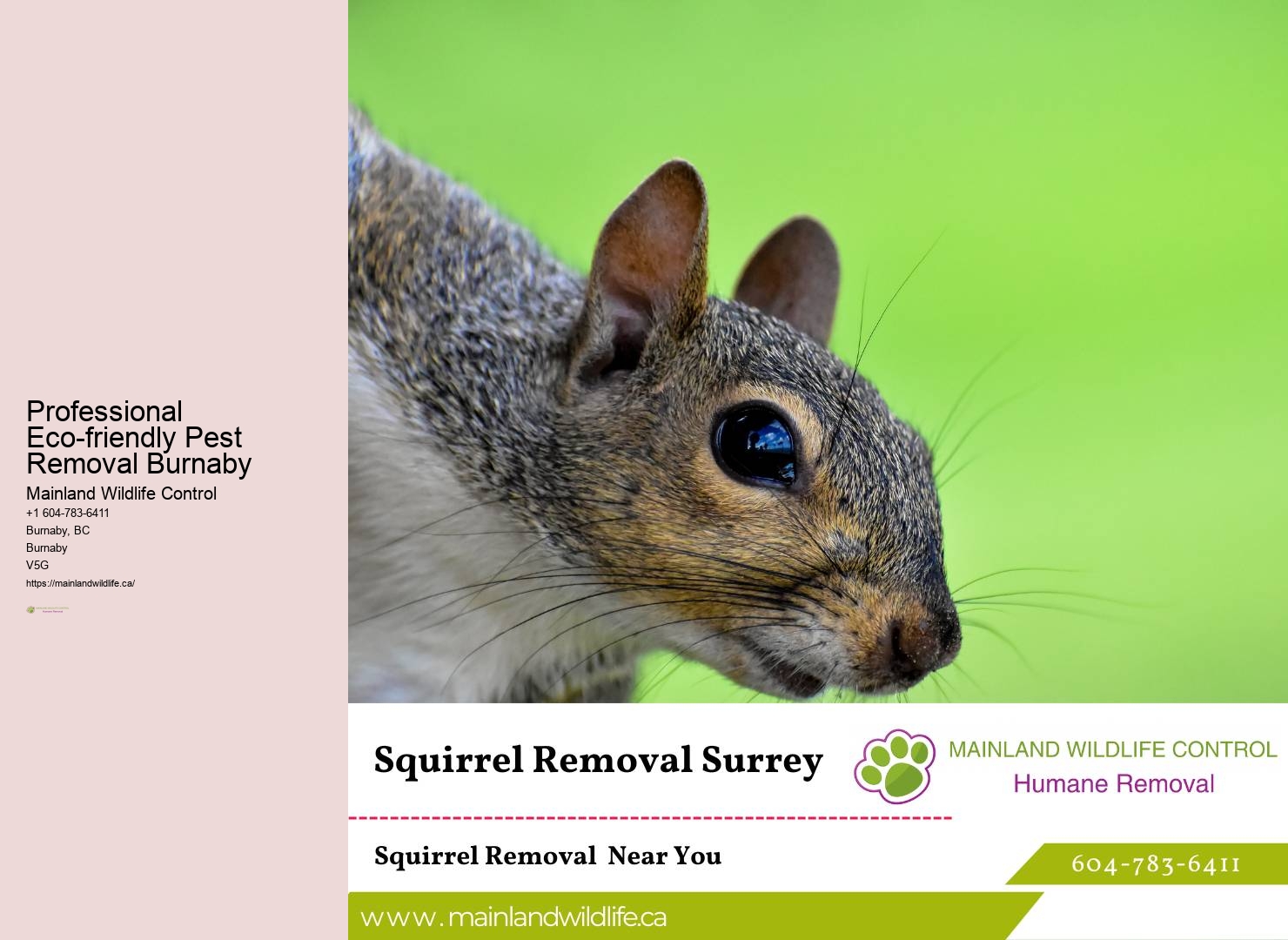 Expert Residential Pest Prevention Burnaby