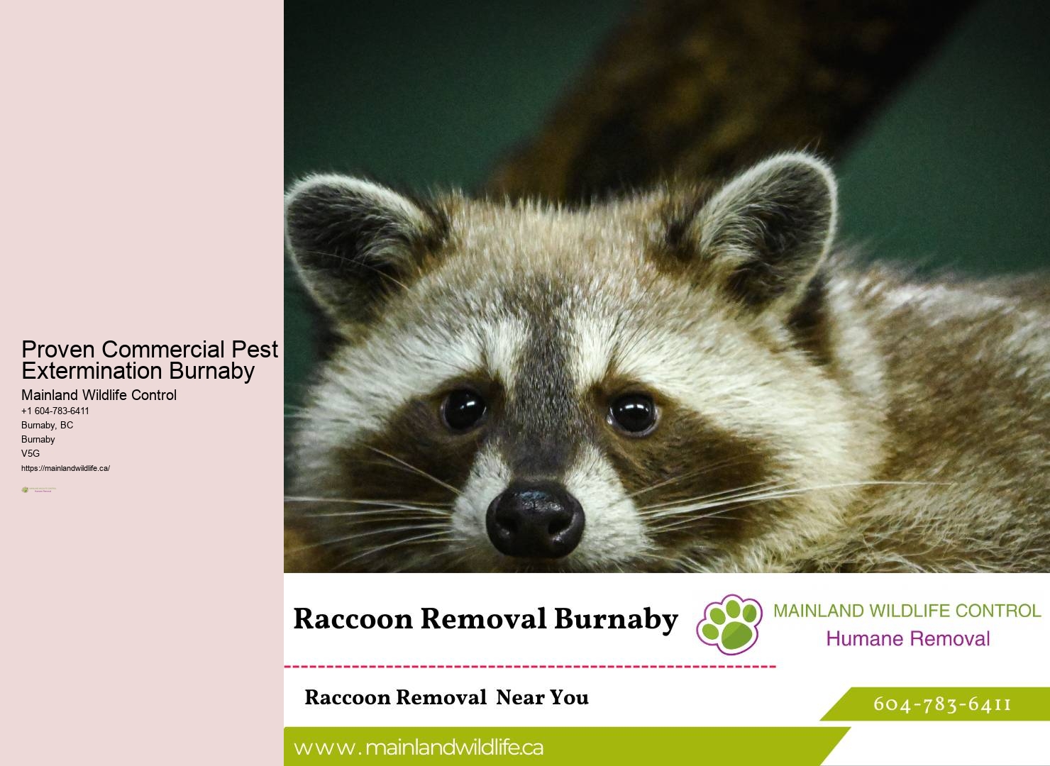 Quality Pest Control Assurance Burnaby